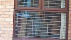 neighbour voyeured